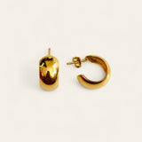 delaney earrings